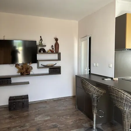 Bh Residents Lägenhetshotell Slăntjev Brjag